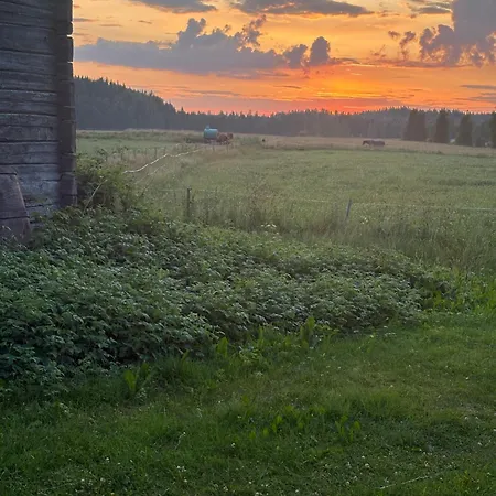 Stonehill Ferienhaus Iisalmi